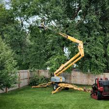 Rome, NY Tree Services Company