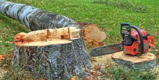 Best Firewood Processing and Delivery  in Rome, NY