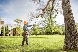 How Our Tree Care Process Works  in  Rome, NY